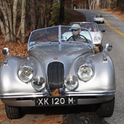 Alfas pull off the road behind the British car to offer help with electrical repairs. (Just kidding, John!)